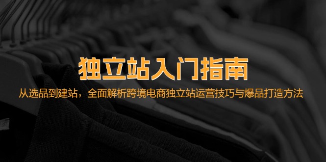 独立站入门指南：从选品到建站，全面解析跨境电商独立站运营技巧与爆品…-泡泡网赚
