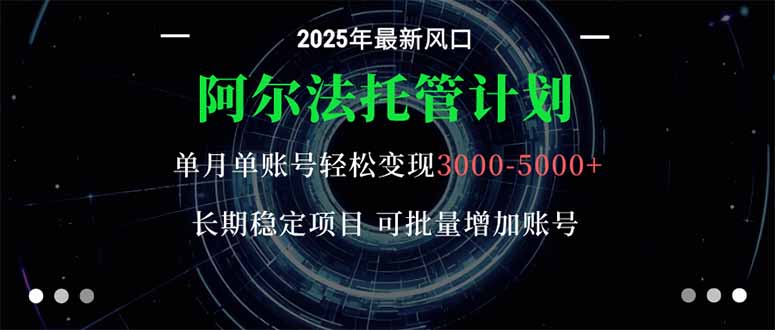 阿尔法托管计划 单账号月入3000-5000，长期稳定项目，新手小白轻松上手。-泡泡网赚