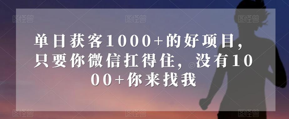 单日获客1000+的好项目，只要你微信扛得住，没有1000+你来找我【揭秘】-泡泡网赚