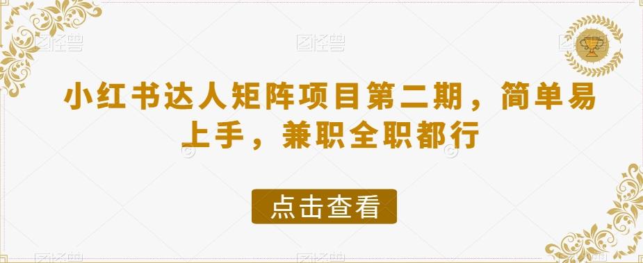 小红书达人矩阵项目第二期，简单易上手，兼职全职都行-泡泡网赚