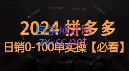 恒哥·2024拼多多日销0-100单实操-泡泡网赚
