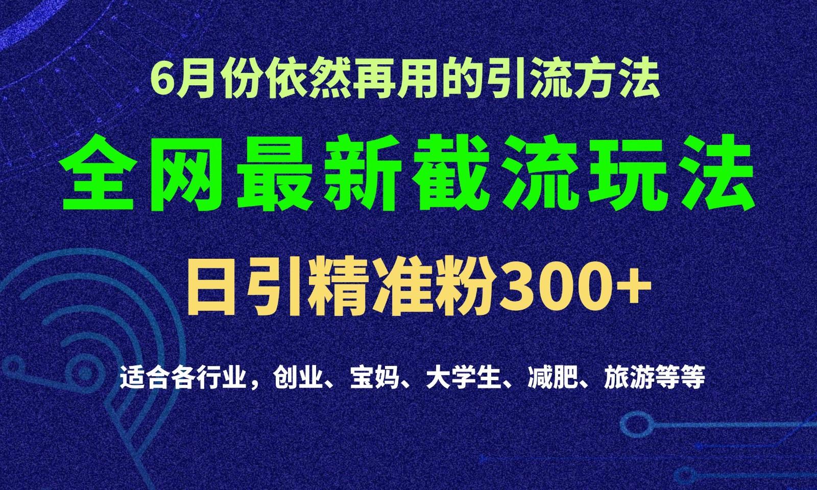 2024全网最新截留玩法，每日引流突破300+-泡泡网赚
