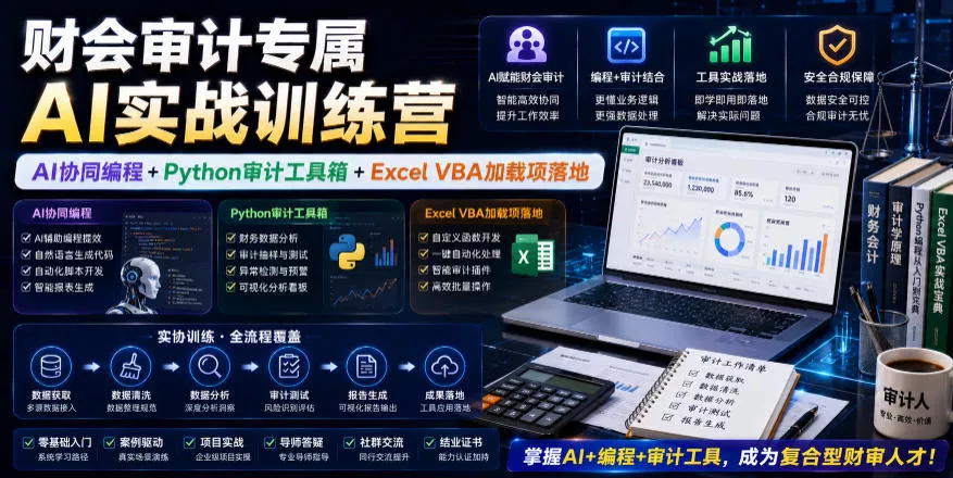 财会审计专属AI实战训练营｜AI协同编程+Python审计工具箱+Excel VBA加载项落地(更新0710)-泡泡网赚
