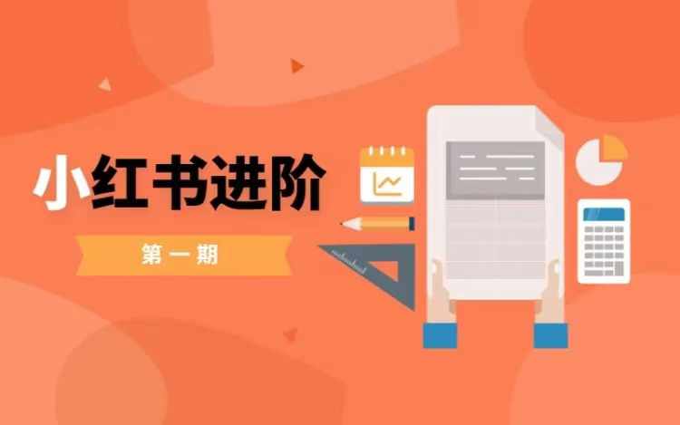 小红书进阶篇，零基础小白实战课，普通人变现的课程-泡泡网赚