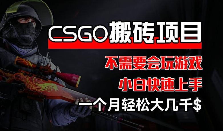 CSGO 装备搬砖项目，操作简单，不需要会玩游戏，小白也能快速上手，一个月轻松大几千【揭秘】-泡泡网赚