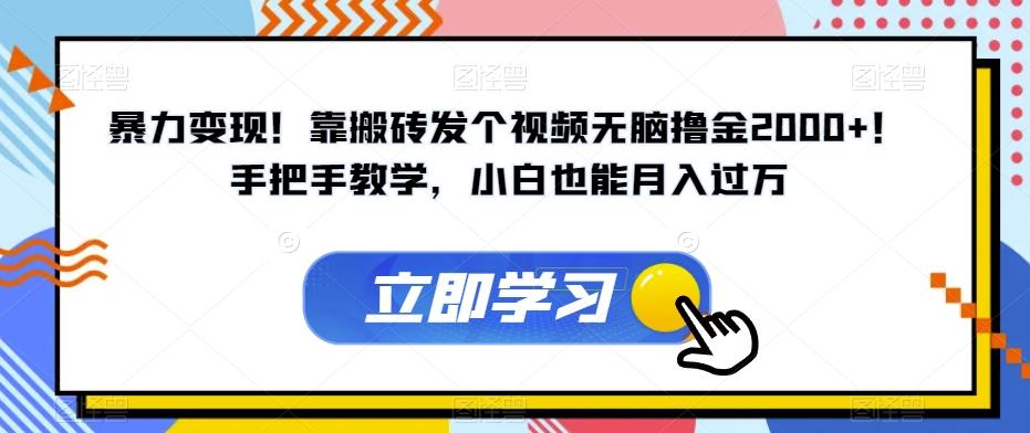 暴力变现！靠搬砖发个视频无脑撸金2000+！手把手教学，小白也能月入过万【揭秘】-泡泡网赚