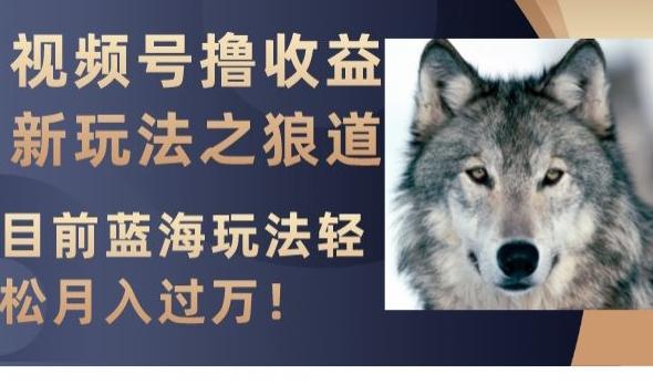 视频号撸收益新玩法之狼道，目前蓝海玩法，轻松月入过万【揭秘】-泡泡网赚