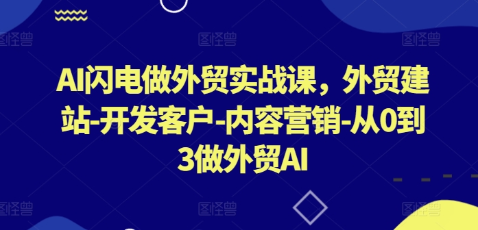 AI闪电做外贸实战课，​外贸建站-开发客户-内容营销-从0到3做外贸AI(更新)-泡泡网赚