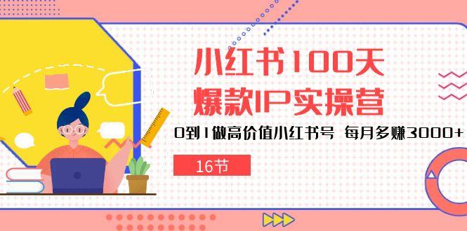 小红书100天-爆款IP实操营，0到1做高价值小红书号 每月多赚3000+(16节-泡泡网赚
