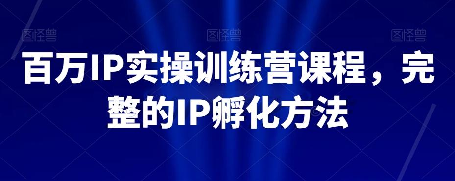 百万IP实操训练营课程，完整的IP孵化方法-泡泡网赚