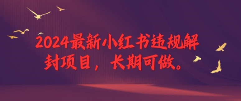 2024最新小红书违规解封项目，长期可做，一个可以做到退休的项目【揭秘】-泡泡网赚