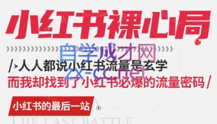 月月老师·小红书低粉高变现课-泡泡网赚
