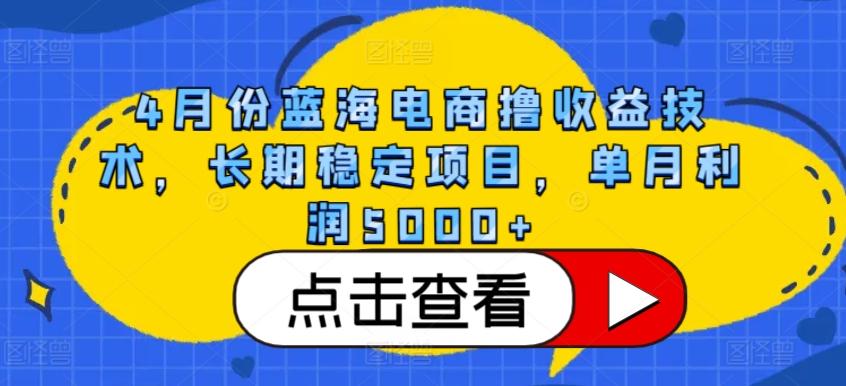 4月份蓝海电商撸收益技术，长期稳定项目，单月利润5000+【揭秘】-泡泡网赚