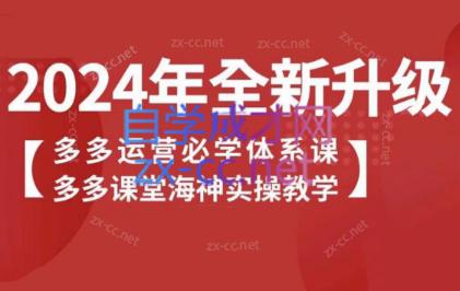 海神老师·拼多多运营必学体系课-泡泡网赚