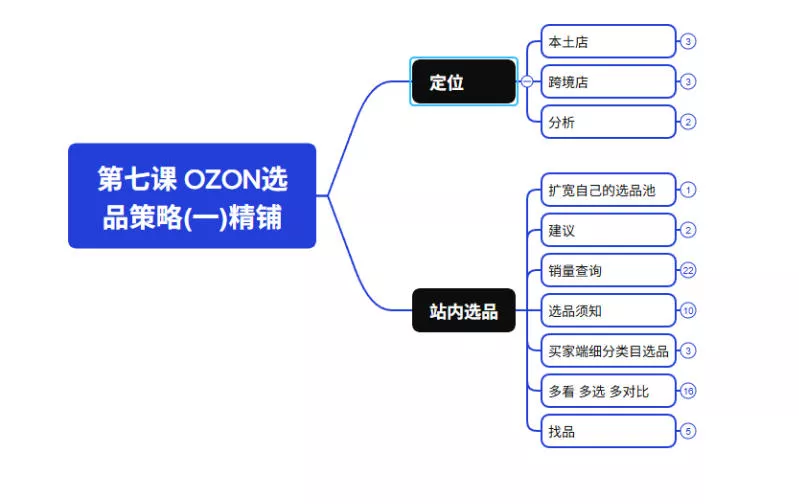 2026最新OZON全流程运营实操跨境电商平台教程，OZON全流程一站式系统学习必修课，从开店到跟卖到精铺-泡泡网赚