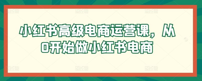 小红书高级电商运营课，从0开始做小红书电商-泡泡网赚