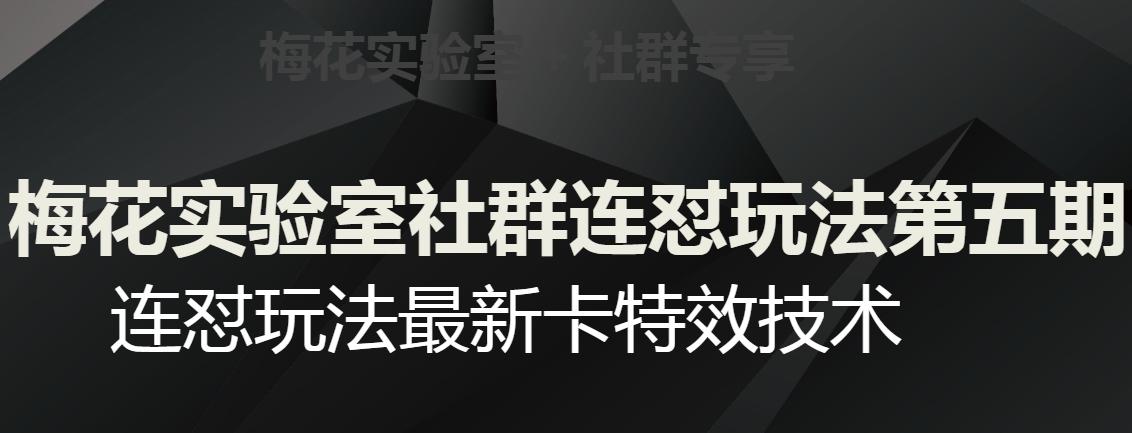 梅花实验室社群连怼玩法第五期，视频号连怼玩法最新卡特效技术-泡泡网赚
