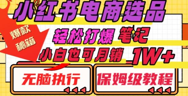 小红书电商爆款选品秘籍，帮你轻松打爆笔记，小白也可轻松月销10000+-泡泡网赚