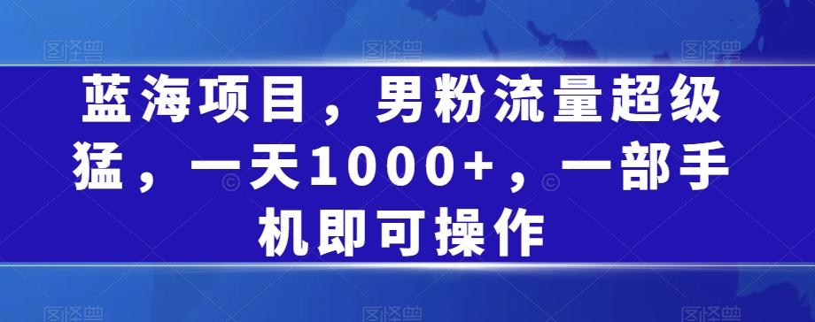 蓝海项目，男粉流量超级猛，一天1000+，一部手机即可操作【揭秘】-泡泡网赚