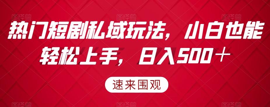 热门短剧私域玩法，小白也能轻松上手，日入500＋-泡泡网赚