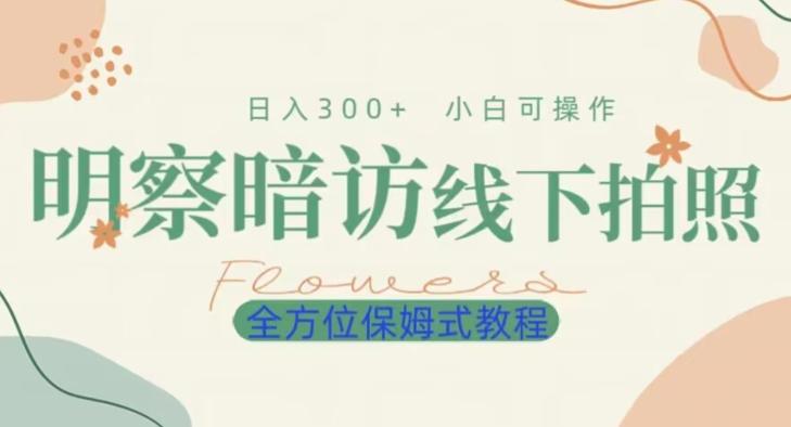 明拍暗拍项目0成本投入日入300+小白可操作保姆式全方位教程-泡泡网赚