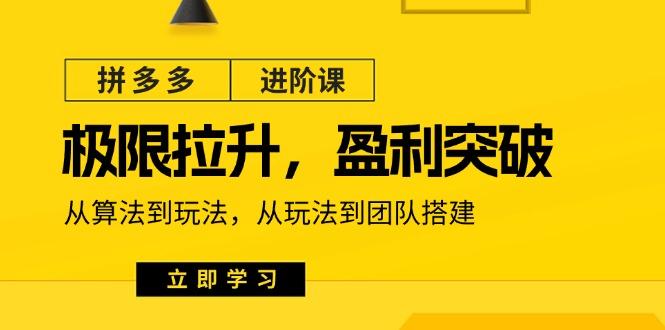 拼多多·进阶课：极限拉升/盈利突破：从算法到玩法 从玩法到团队搭建-18节-泡泡网赚