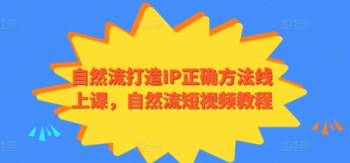 自然流打造IP正确方法线上课，自然流短视频教程-泡泡网赚