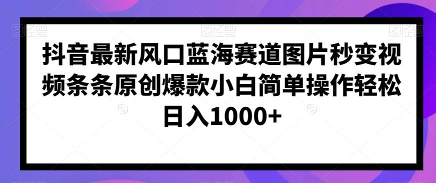 抖音最新风口蓝海赛道图片秒变视频条条原创爆款小白简单操作轻松日入1000+-泡泡网赚