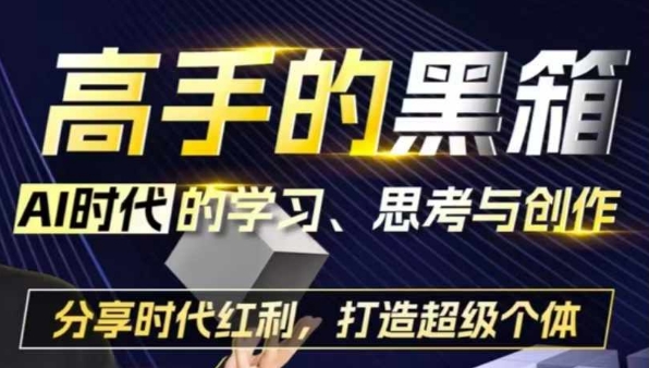 高手的黑箱：AI时代学习、思考与创作-分红时代红利，打造超级个体-泡泡网赚