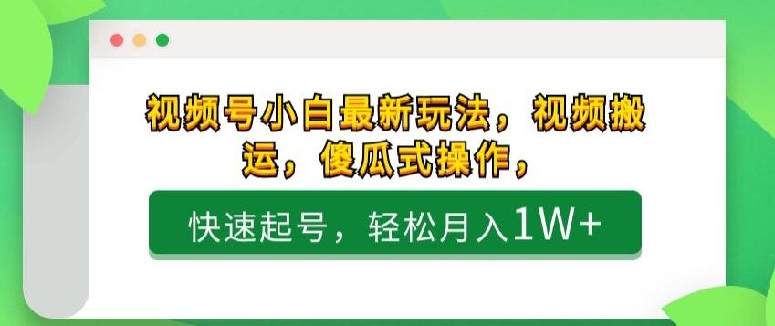 视频号小白最新玩法，视频搬运，傻瓜式操作，快速起号，轻松月入1W+-泡泡网赚