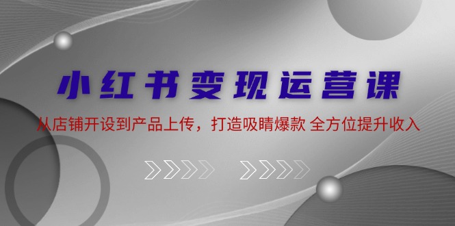 小红书变现运营课：从店铺开设到产品上传，打造吸睛爆款 全方位提升收入-泡泡网赚