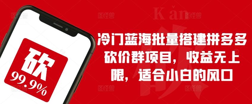 冷门蓝海批量搭建拼多多砍价群项目，收益无上限，适合小白的风口【揭秘】-泡泡网赚