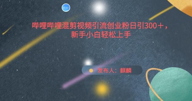 哔哩哔哩混剪视频引流创业粉日引300+，新手小白轻松上手【揭秘】-泡泡网赚