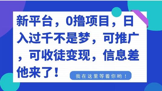 不要再花冤枉钱了，0撸项目，每天坚持，稳定1000+-泡泡网赚