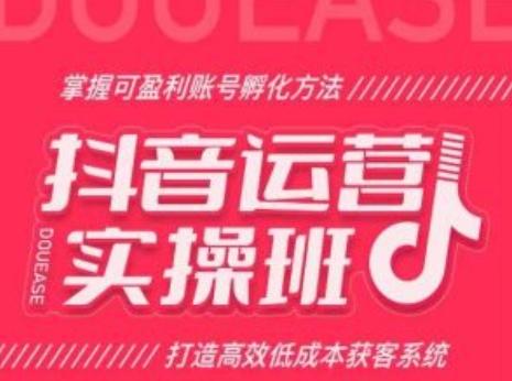 抖音运营实操班，掌握可盈利账号孵化方法，打造高效低成本获客系统-泡泡网赚