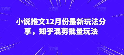 小说推文12月份最新玩法分享，知乎混剪批量玩法-泡泡网赚