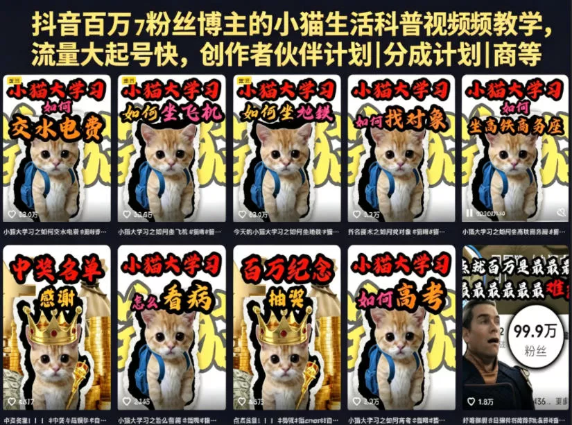 抖音百万粉丝博主的小猫生活科普视频教学，流量大起号快，创作者伙伴计划|分成计划|商单|收徒等-泡泡网赚
