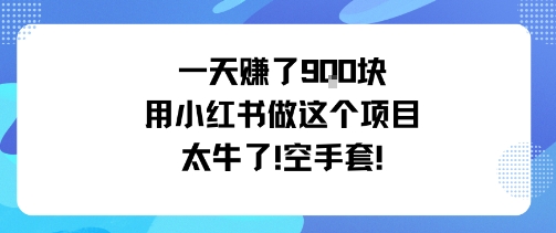 一天挣了9张用小红书做这个项目太牛了，空手套-泡泡网赚