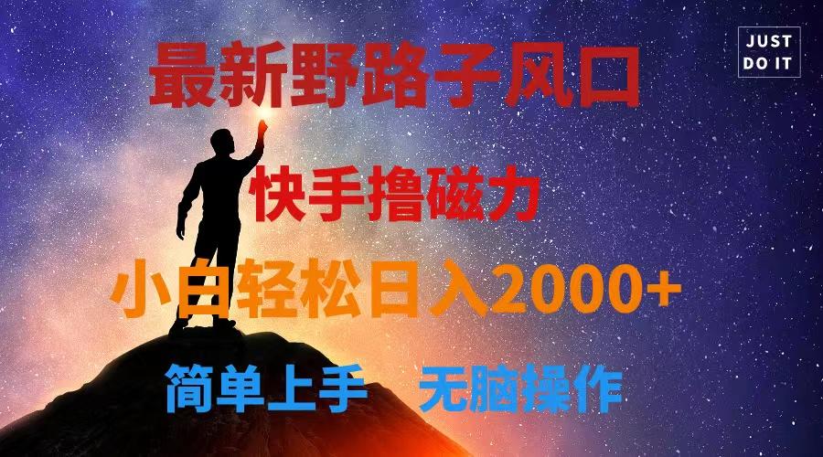 最新风口！快手撸磁力，野路子，小白无脑操作日入2000+-泡泡网赚