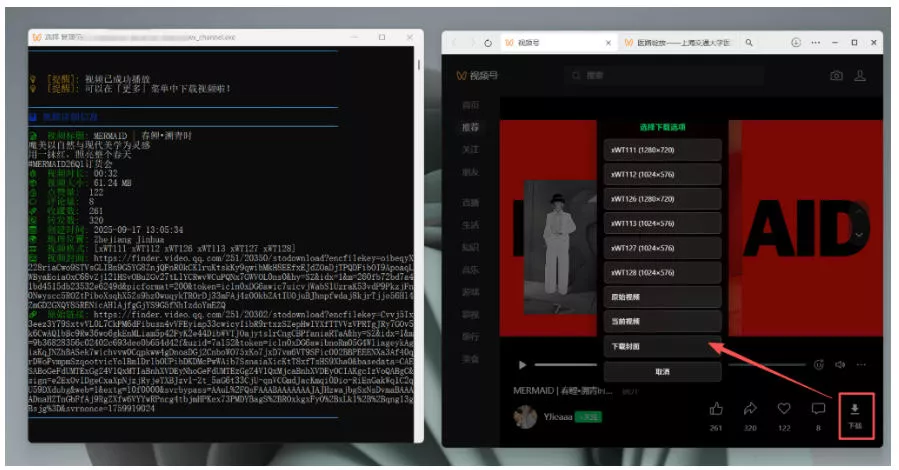 Github热门工具，视频号下载神器又来了！一键注入下载按钮，轻松下载，使用便捷wx_channel-泡泡网赚