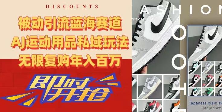 被动引流蓝海赛道，AJ运动用品私域玩法，无限复购年入百万【揭秘】-泡泡网赚