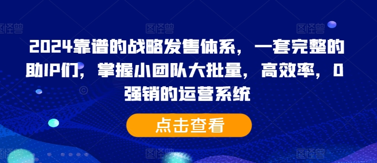 2024靠谱的战略发售体系，一套完整的助IP们，掌握小团队大批量，高效率，0 强销的运营系统-泡泡网赚
