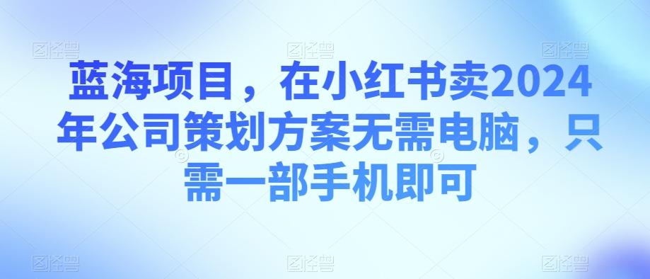 蓝海项目，在小红书卖2024年公司策划方案无需电脑，只需一部手机即可-泡泡网赚