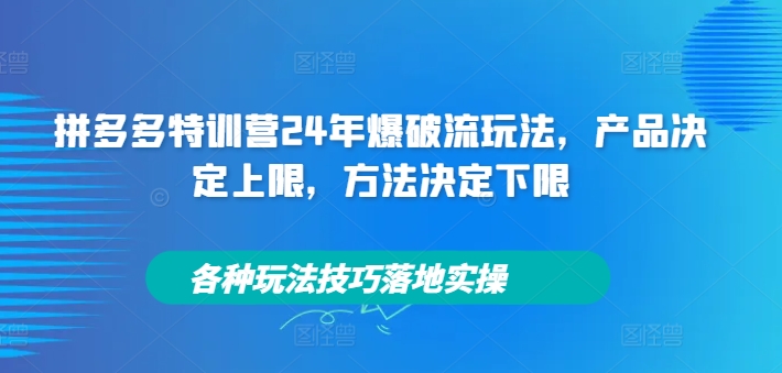 拼多多特训营24年爆破流玩法，产品决定上限，方法决定下限，各种玩法技巧落地实操-泡泡网赚