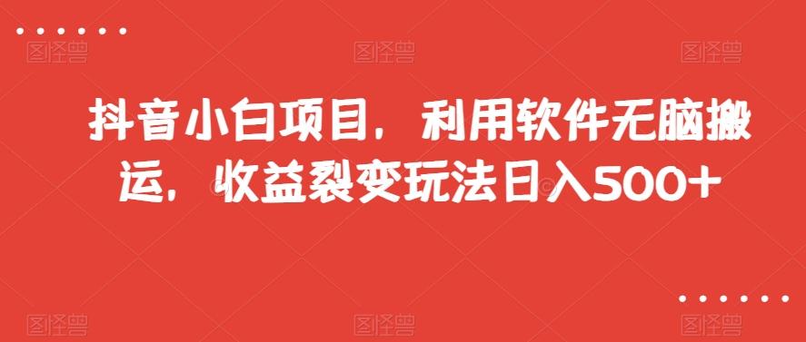抖音小白项目，利用软件无脑搬运，收益裂变玩法日入500+【揭秘】-泡泡网赚