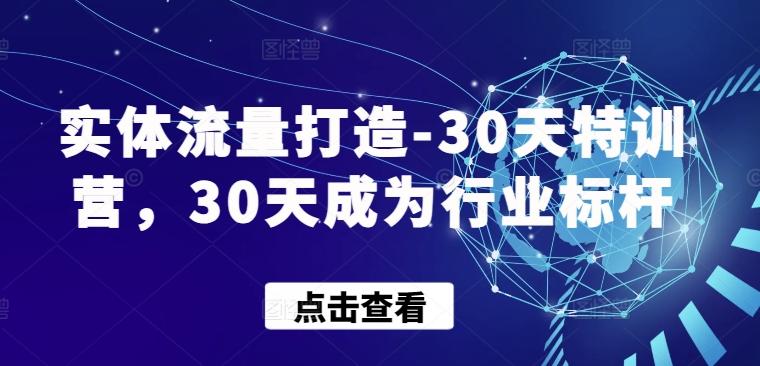 实体流量打造-30天特训营，30天成为行业标杆-泡泡网赚