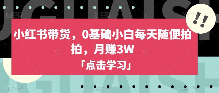 小红书带货，0基础小白每天随便拍拍，月赚3W【揭秘】-泡泡网赚