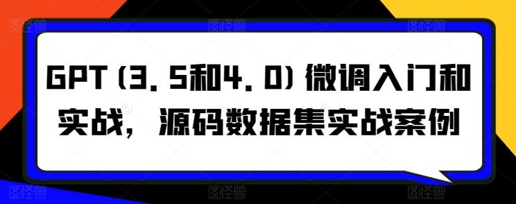 GPT(3.5和4.0)微调入门和实战，源码数据集实战案例-泡泡网赚