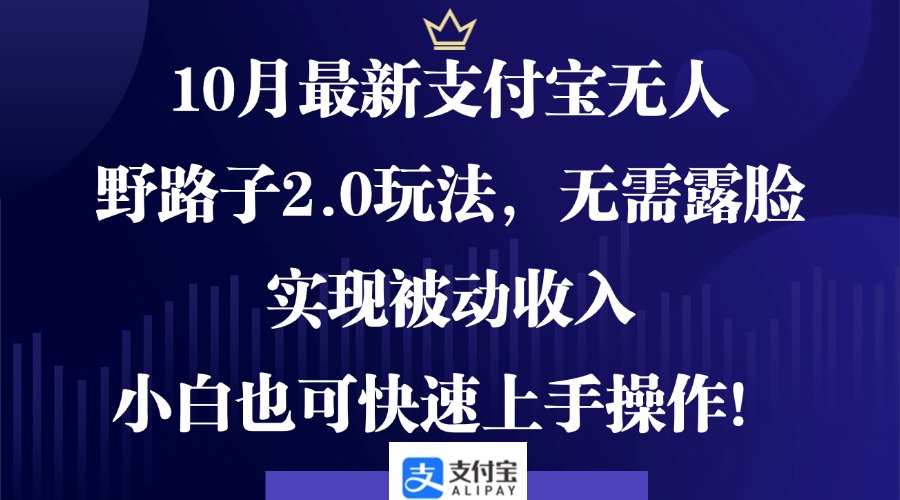 10月最新支付宝无人野路子2.0玩法，无需露脸，实现被动收入，小白也可…-泡泡网赚