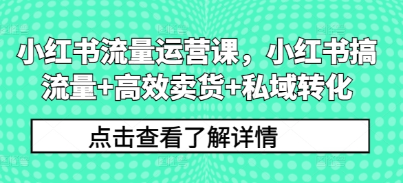 小红书流量运营课，小红书搞流量+高效卖货+私域转化-泡泡网赚